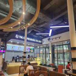 Cho Thuê Mặt Bằng -   房屋出租  -  For Rent & Share Hàn Thuyên, Quận 1