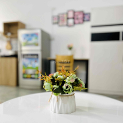 Phòng 25m2 FULL NT khu sân bay chỉ 5tr