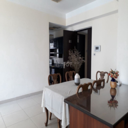 Cho thuê căn hộ chung cư Phú Mỹ, quận 7, TP.HCM, 2pn, 10tr