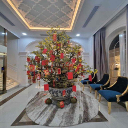 Cho thuê villa Nguyễn Văn Trỗi 10x20m 3 tầng 6pn 8wc giá 90tr/tháng