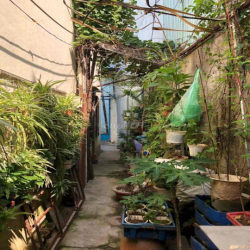 ❗️BÁN GẤP NHÀ TRUNG TÂM TP. QUY NHƠN, BÌNH ĐỊNH, SHR, Full TC