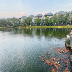 Nhà Phố Lakeview City  5x20, 1 trệt 3 lầu, NT cơ bản, Giá 27tr/th.