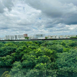 Cho thuê căn hộ Duplex 4PN (S=200m2) Celadon City