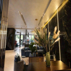 ✨ CHO THUÊ BIỆT THỰ  ĐƯỜNG LÊ HỮU KIỀU DT LỚN 29m x 46m QUẬN 2 ✨