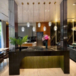 ✨ CHO THUÊ BIỆT THỰ  ĐƯỜNG LÊ HỮU KIỀU DT LỚN 29m x 46m QUẬN 2 ✨