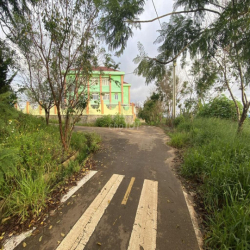 Cho thuê đất ở Đà Lạt Xuân Trường, miễn phí 1PN giá 2tr/lô/ sổ riêng