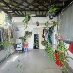 CHÍNH CHỦ CHO THUÊ NHÀ NGUYÊN CĂN ĐƯỜNG SỐ 6, NGUYỄN DUY TRINH, Q9