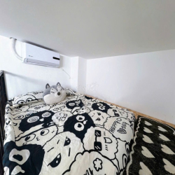 Khai Trương căn hộ rộng cửa sổ trời ngay công viên gia định Hiếm