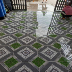 cho thuê nhà Điện tích 55m