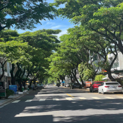 Cho thuê lâu dài nhà nguyên căn trục shophouse FPT, thuận lợi ở hoặc k