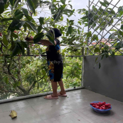 Cho thuê lô đất 2 mặt tiền trước sau đường 7m5 Hoàng Thế Thiện và Nguy