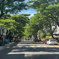 Cho thuê lâu dài nhà nguyên căn trục shophouse FPT, thuận lợi ở hoặc k