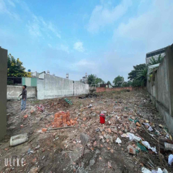 Cho thuê đất trống 1000m2, gần ngã 4 Nguyễn Khuyến, Trảng Dài,Biên Hoà