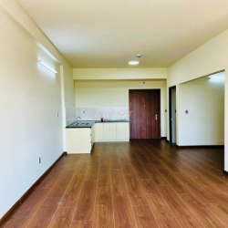 Cho thuê căn hộ mới 51m2, Waterpoint Bến Lức , Long An GIÁ RẺ 3 TRIỆU