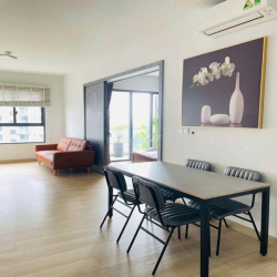 Cho thuê căn hộ Emerald 1pn-1wc , 53m , giá 12 tr, nt mới 100%