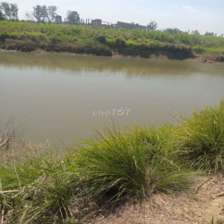 cho thuê hồ nuôi cá