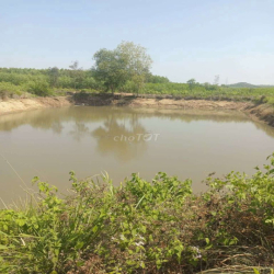 cho thuê hồ nuôi cá