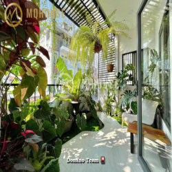 Hàng Hiếm căn Studio bếp xa giường🍀Sân vườn cây xanh cực kì rộng rãi
