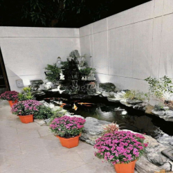 💓💓💓hot hot hot💞💕cho thuê nhà biệt thự bàu vá đồng khởi rẻ đẹo💯💯