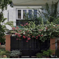 cho thuê nhà 1 trệt 1 lầu phường tam hiệp