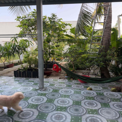 Cho Thuê Nhà Nguyên Cǎn Có Măt Bǎng Kinh Doanh