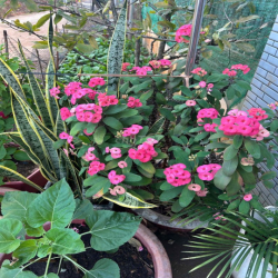 cho thuê văn phòng đường lớn, sang