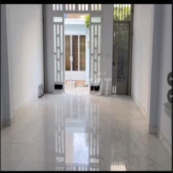 Cho thuê nhà nguyên căn mới 100% 2 mặt tiền đường Lê Trọng Tấn 200m2.