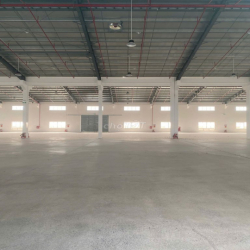 CHO THUÊ VĂN PHÒNG & KHO XƯỞNG GIÁ TỐT TẠI KCN ĐỨC HÒA, LONG AN