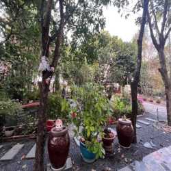 Chính Chủ Cho Thuê Nhà MT Củ Chi 7200m Giá 20tr Cọc 1th ***