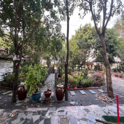 Chính Chủ Cho Thuê Nhà MT Củ Chi 7200m Giá 20tr Cọc 1th ***