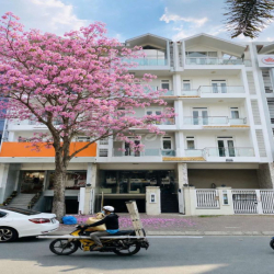 HOT Nhà Nguyên Căn Nguyễn Thị Thập Him Lam