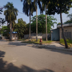 cho thuê nhà cát tường phú nguyên 2