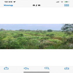 Chính Chủ cần cho Thuê Gấp : 2,7hecta :Đất mặt tiền