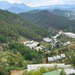 CHO THUÊ HOMESTAY VIEW ĐẸP GẦN BÒ TƠ DÃ CHIẾN – ĐÀ LẠT 🌿  ✨ Vị trí đ