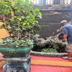 Binhbds cho thuê biệt thự sân vườn Bồ Đề 300m2