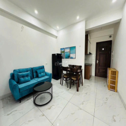 cho thuê căn hộ cc mini ngõ 110 trân duy Hưng Dt 30 m