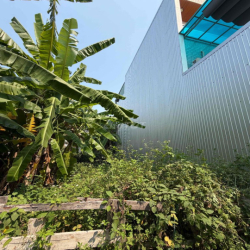 Thuê đất dài hạn