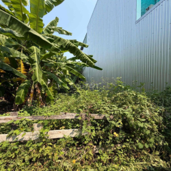 Thuê đất dài hạn
