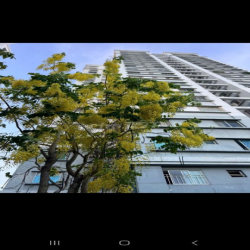 Cho thuê  can ho 95m.2p.giá 5tr5