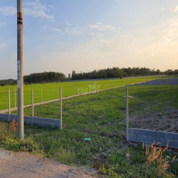 Cho thuê 1950m2 đất trồng cây, xã Trung Lập Hạ, Củ Chi.