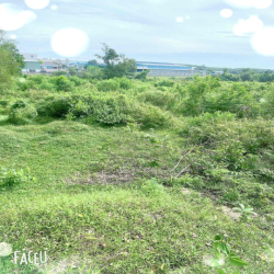 đất 6000 m2