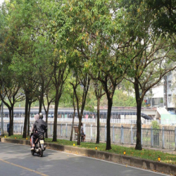 Cho thuê mặt bằng KD Quận 1-Ngay Cầu Thị Nghè, View Bờ Kè, Vỉa Hè Rộng