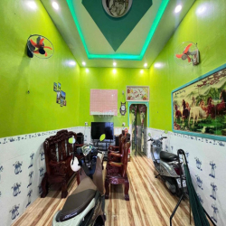 Cho thuê nhà KDC Cát Tường Phú Thạnh – gần KCN Tân Đức, Tân Đô