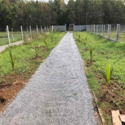 Cho thuê nhà vườn củ chi