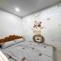 BÁN CĂN NHÀ MÊ HIỆN ĐẠI HẺM 53 PHẠM NGŨ LÃO PHƯỜNG BUÔN MA THUỘC