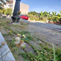 CHO THUÊ KHO / XƯỞNG 200M2 KHU ĐẢO KIM CƯƠNG  QUẬN 2