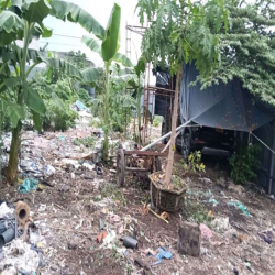 Cho Thuê Đất 1200m Ấp 5 xã Tân vĩnh lộc B bình chánh tphcm