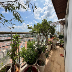 [Penthouse] Him Lam Riverside, Q.7 | 203,8m² (4PN-4WC) | View Biệt thự