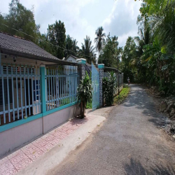 Thuê nhà nguyên căn