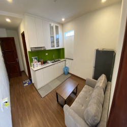 Căn hộ Quận Đống Đa 48m2 1N & 1 khách phố Đông Các ở ngắn ngày & dài